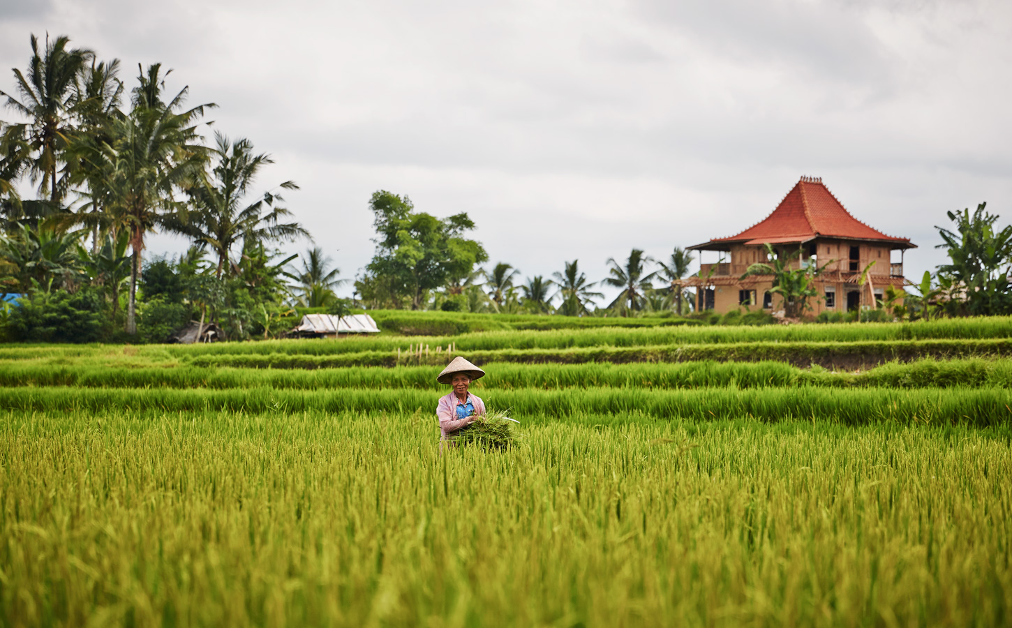 CHP_IN_BALI_0267-wc