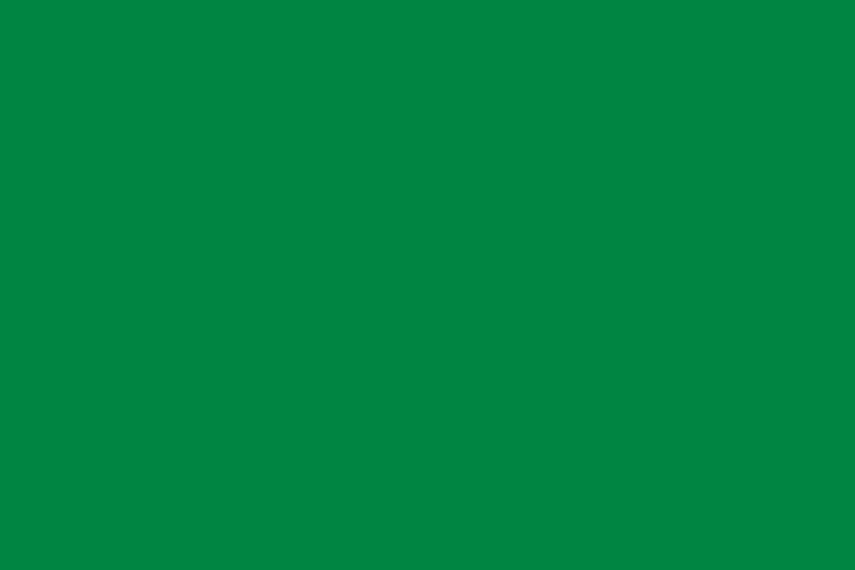 Flag_of_Libya_(1977–2011,_3-2).svg